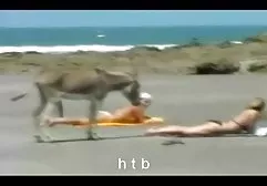 انگلیسی,فرانسوی,اتاق,فیزیک,گاس خواهد کانال sex در تلگرام