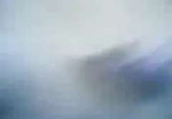 زنان و افراد لینک کانال سکس در روبیکا